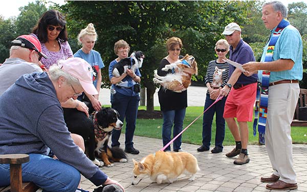 2018 Blessing of the Animals